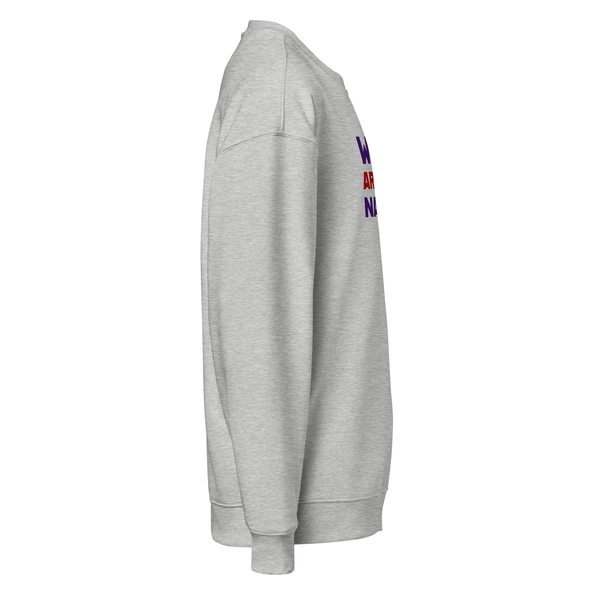 Raven Frontprint Oversize | Streetwear Rabe wear Art of Nature – Bild 15