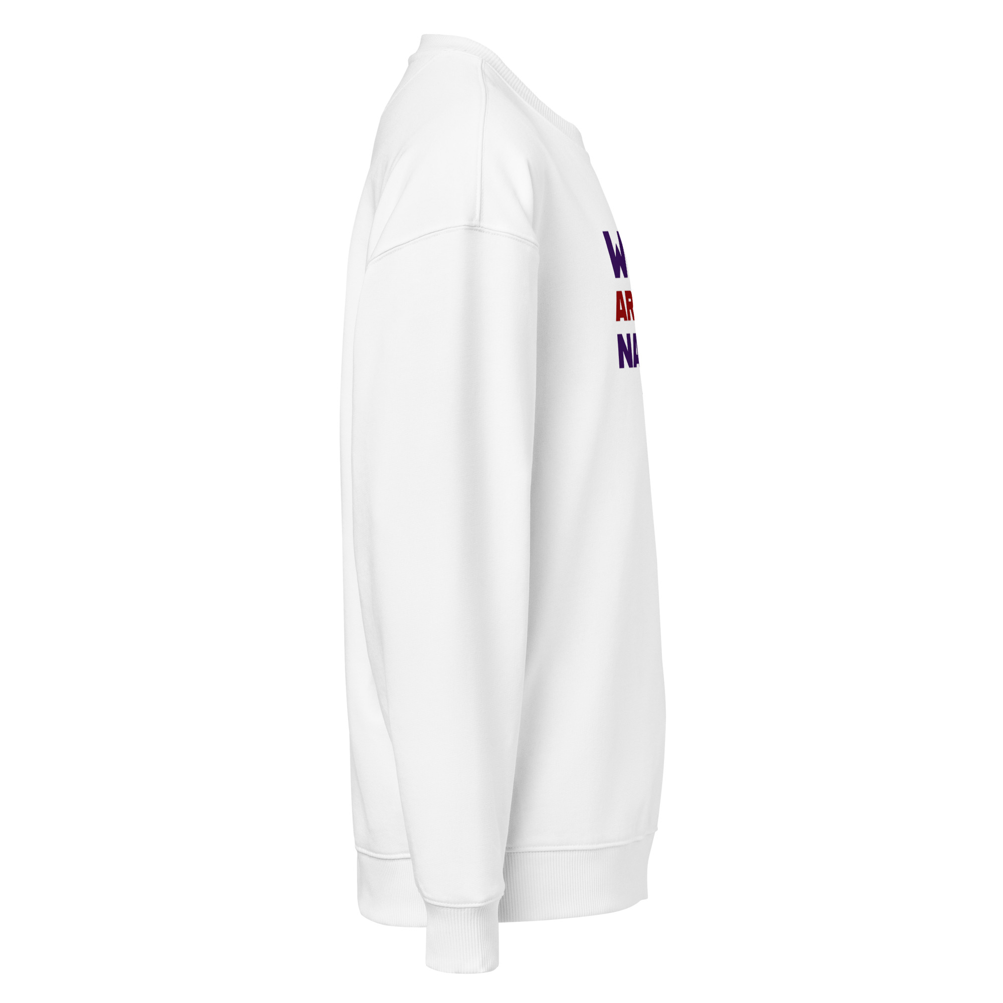 Raven Frontprint Oversize | Streetwear Rabe wear Art of Nature – Bild 16